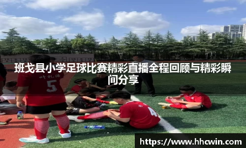 杏耀登录